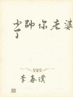 少帅你老婆又跑了