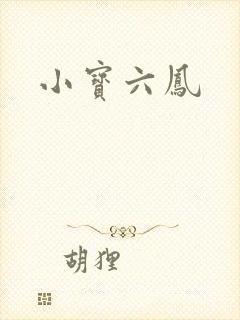 小宝六凤