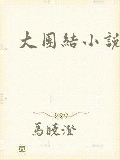 大团结小说全文