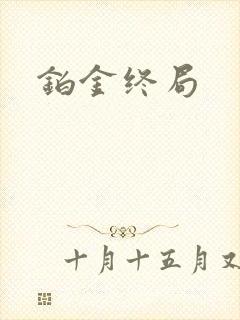 铂金终局