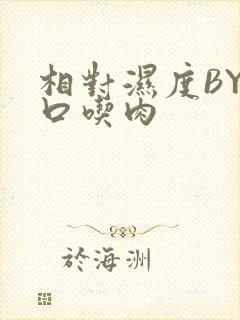 相对湿度BY大口吃肉