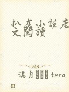 扒灰小说老马全文阅读