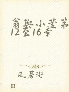 翁与小莹第十部12至16章
