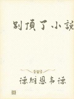 别顶了小说