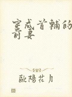 穿成首辅的炮灰前妻