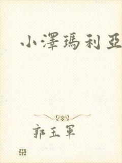 小泽玛利亚作品