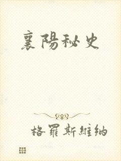 襄阳秘史