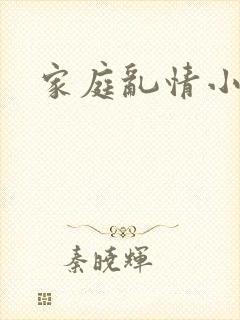 家庭乱情小说封面
