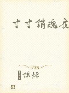 寸寸销魂夜春光