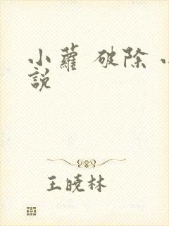 小萝 破除 小说