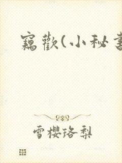窃欢(小秘书)