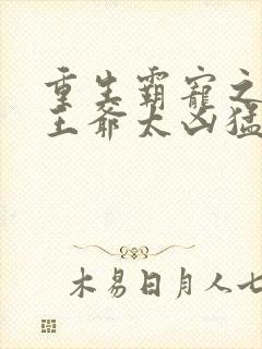 重生霸宠之摄政王爷太凶猛
