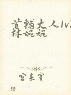 首辅大人1v2林婉婉