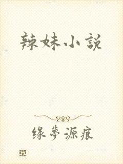 辣妹小说