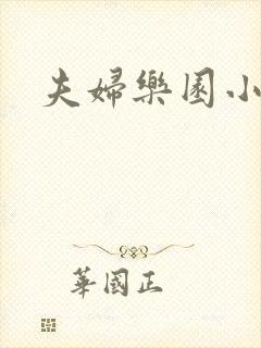 夫妇乐园小说