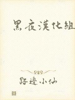 黑夜汉化组