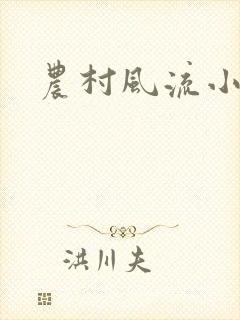 农村风流小说封面