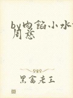 by肉馅小水饺周慈封面