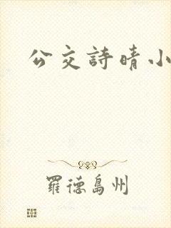 公交诗晴小说封面