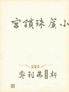 宫锁珠帘小说
