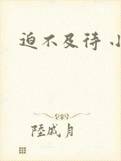 迫不及待 小穴