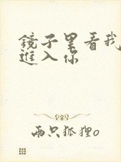 镜子里看我怎么进入你
