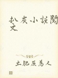 扒灰小说阅读全文