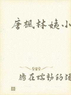 唐枫林姨小说