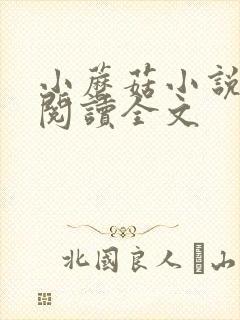 小蘑菇小说免费阅读全文