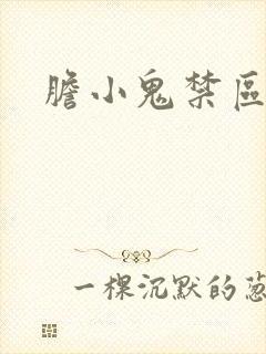 胆小鬼禁区
