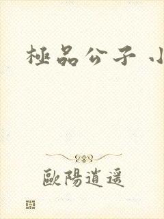 极品公子 小说
