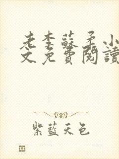 老李苏柔小说全文免费阅读