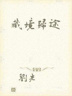 藏境归途