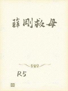 薛刚救母