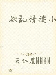 欲乱情迷小说