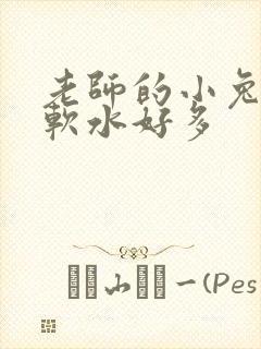 老师的小兔子好软水好多