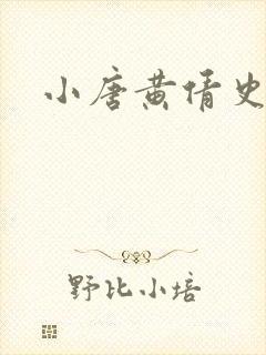 小唐黄倩史封面