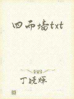 四面墙txt