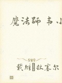 魔法师 韦小宝