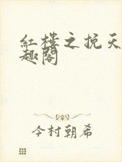 红楼之挽天倾笔趣阁