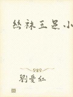 丝袜玉足小说
