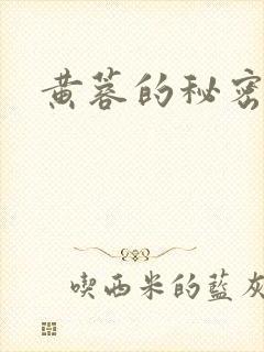 黄蓉的秘密封面
