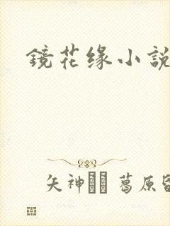 镜花缘小说