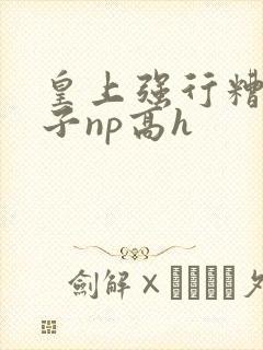 皇上强行糟蹋太子np高h