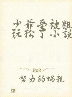 少爷受被粗汉H玩松了小说封面