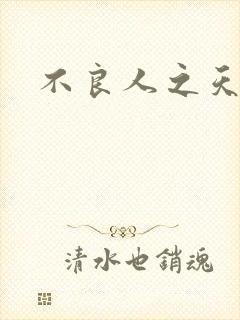 不良人之天罡传封面