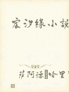 宸汐缘小说