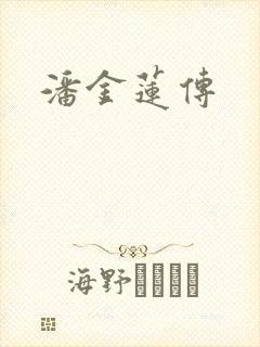 潘金莲传