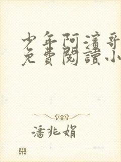 少年阿滨哥全文免费阅读小说封面