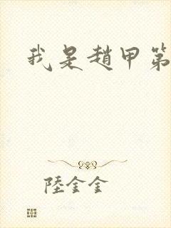 我是赵甲第小说